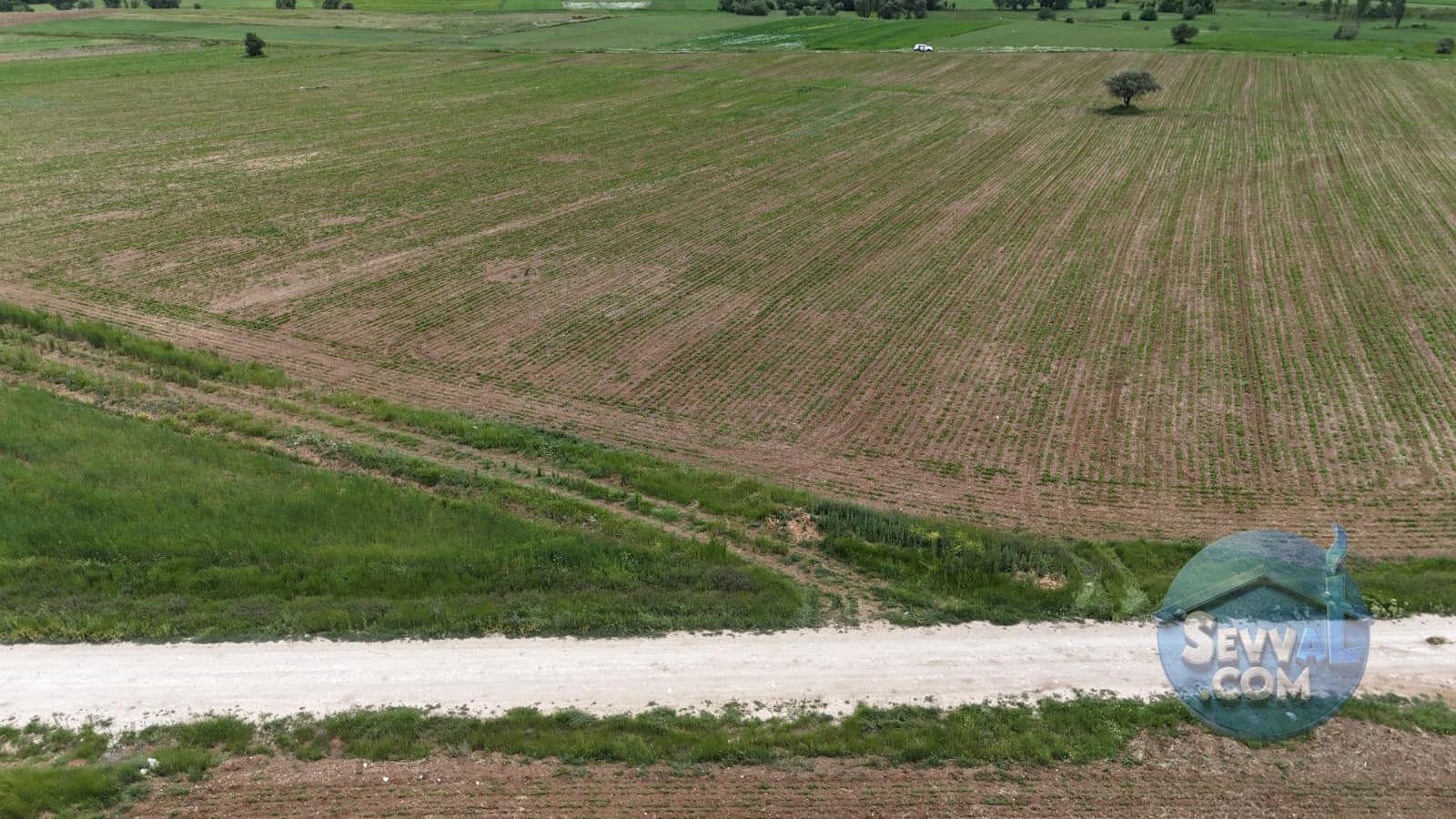 KÜTAHYA ÇAVDARHİSAR ZOBU  KÖYÜNDE  1.622  M²   TARLA  SATILIKTIR