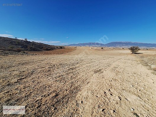 KORKUTELİ BOZOVA DA 19.000 M2 İMARA 220 MT