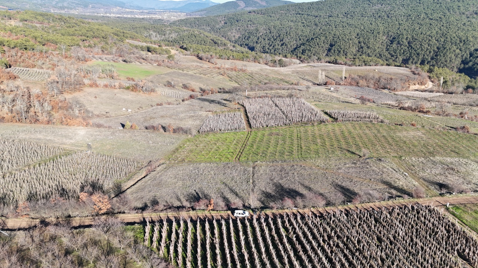 Resmi yola cepheli müstakil arsa - BİLECİK OSMANELİ fotoğraf 7
