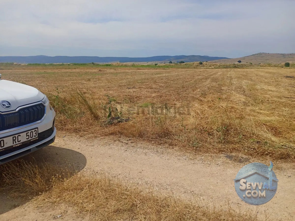 Gökçeyazı Da Kadastro Yolu Mevcut Tarla