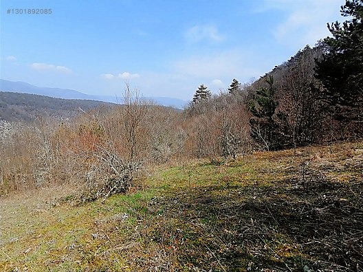 TAŞKESTİ EMLAKTAN TAŞKESTİ MERKEZDE 4381 M2 TARLA