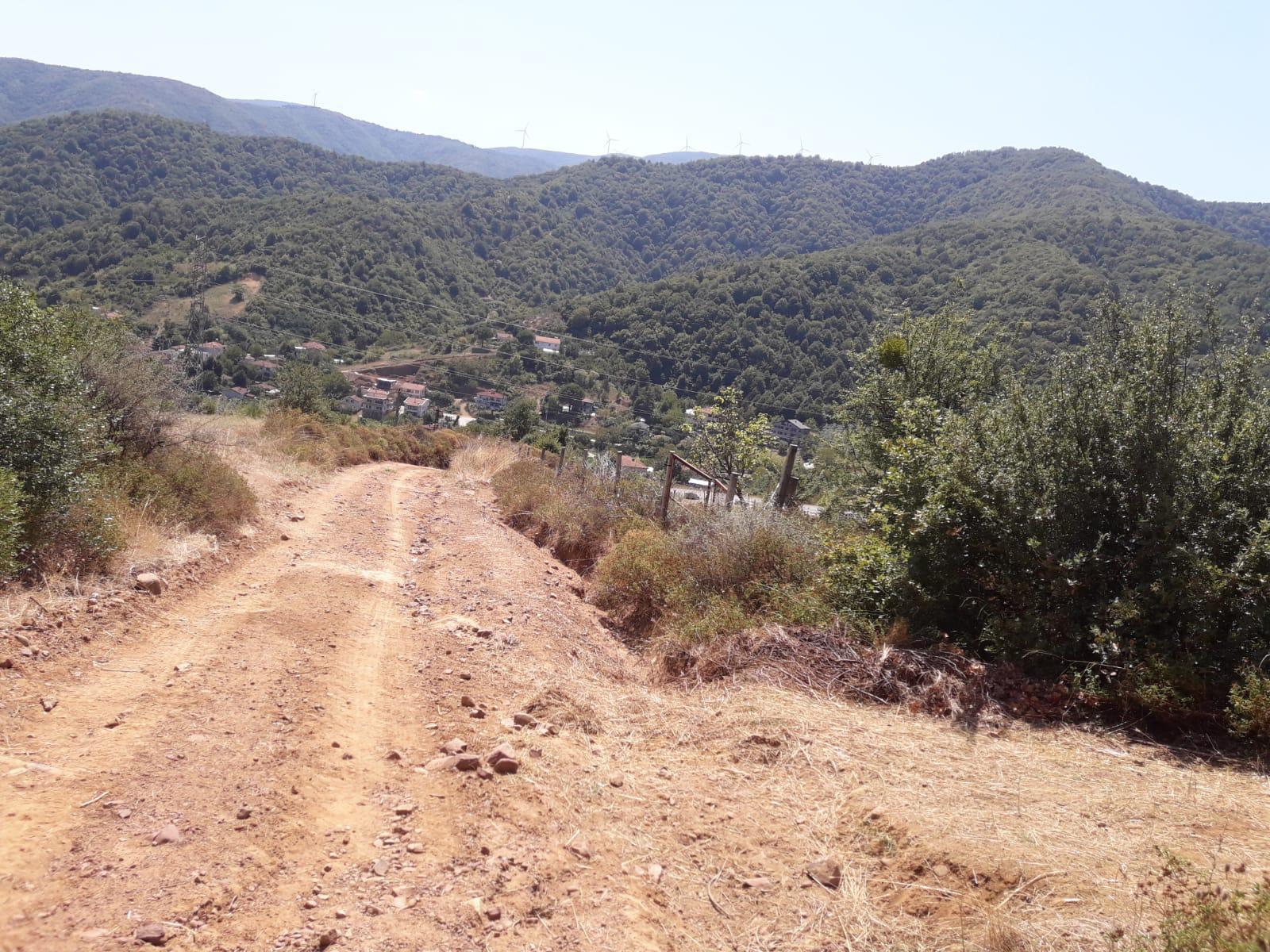 Satılık tarla - YALOVA ÇINARCIK fotoğraf 7