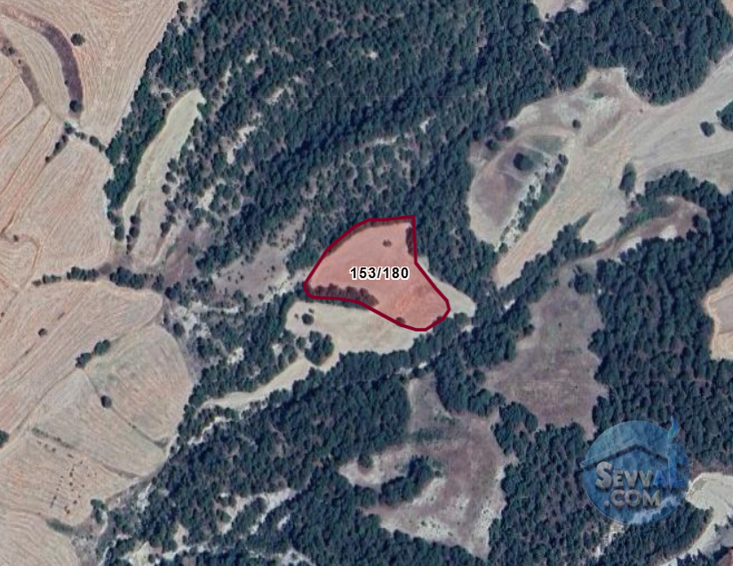 KÜTAHYA GEDİZ GÖLCÜK  KÖYÜNDE  6.693 M²  TARLA  SATILIKTIR