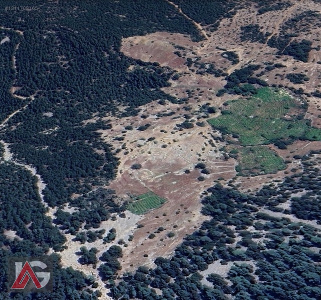 ANTALYA FİNİKE YEŞİLKÖY DE FIRSAT TARLA