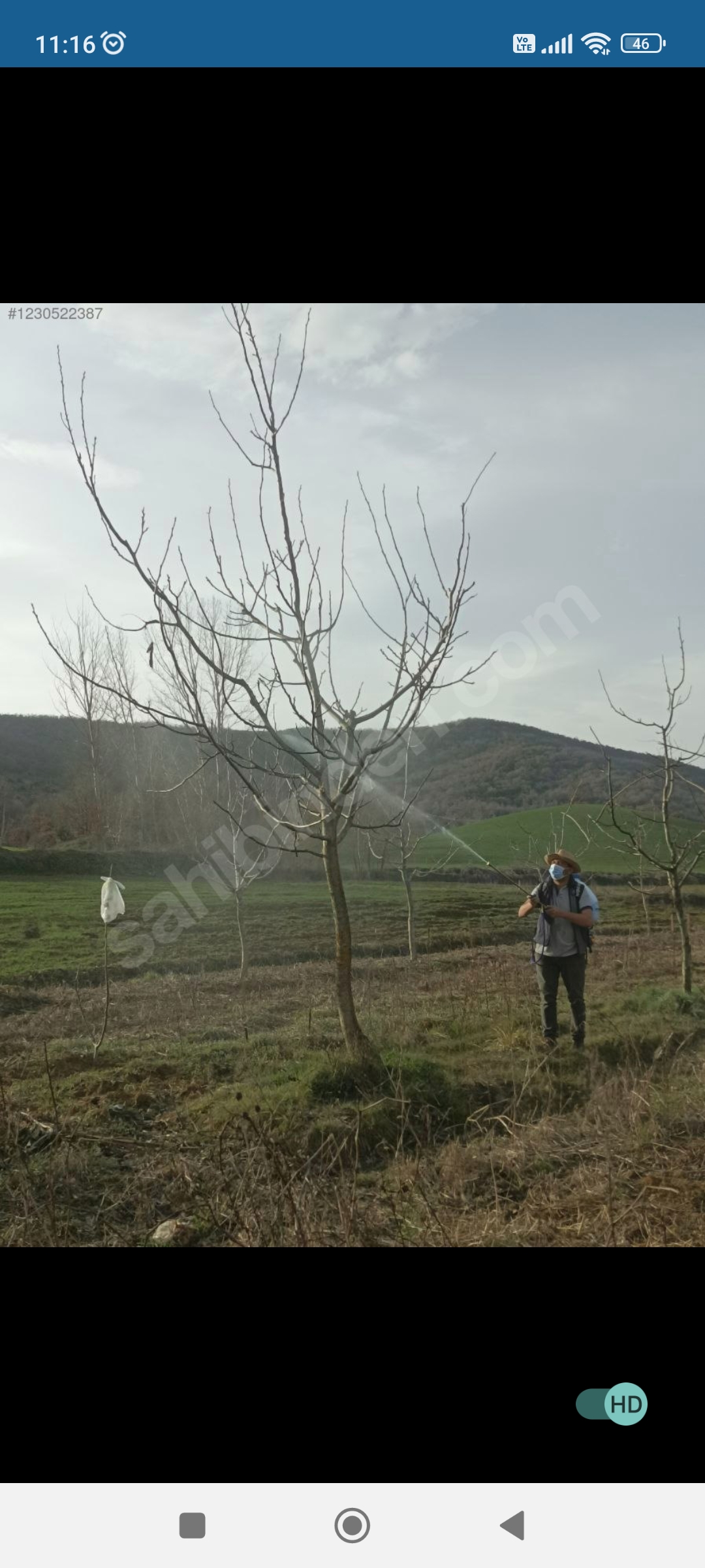 Ceviz ve hobi bahcesi - BURSA YENİŞEHİR fotoğraf 7