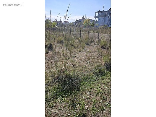 SAMSUN 19 MAYİS İLÇESİNDE SATILIK VİLLALİK ARSA