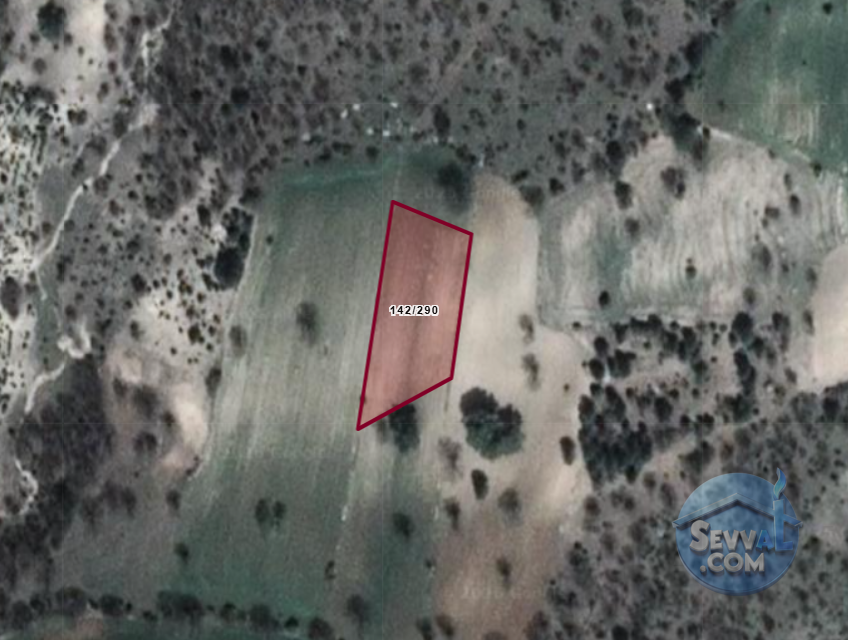 KÜTAHYA ÇAVDARHİSAR İLCİKÖREN  KÖYÜNDE  2.199 M²   TARLA  SATILIKTIR