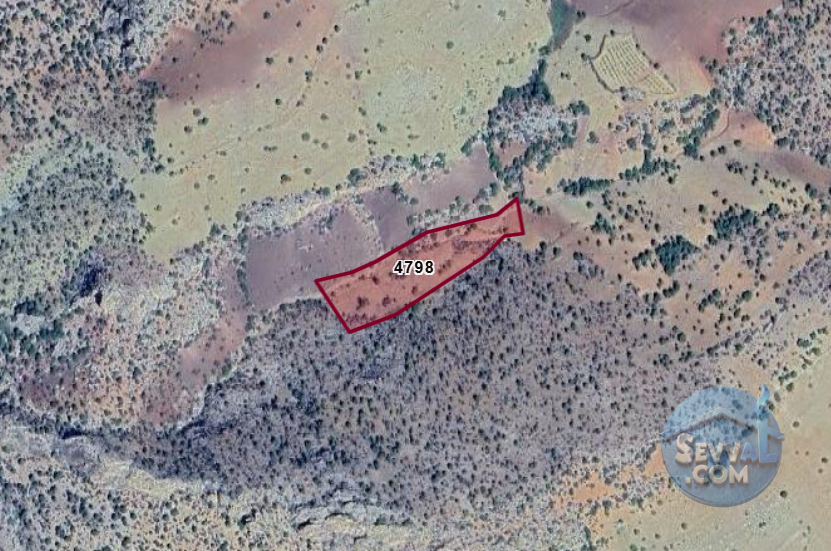 KARAMAN MERKEZ BOZKANDAK  KÖYÜNDE  5.700 M²   BAĞ  SATILIKTIR