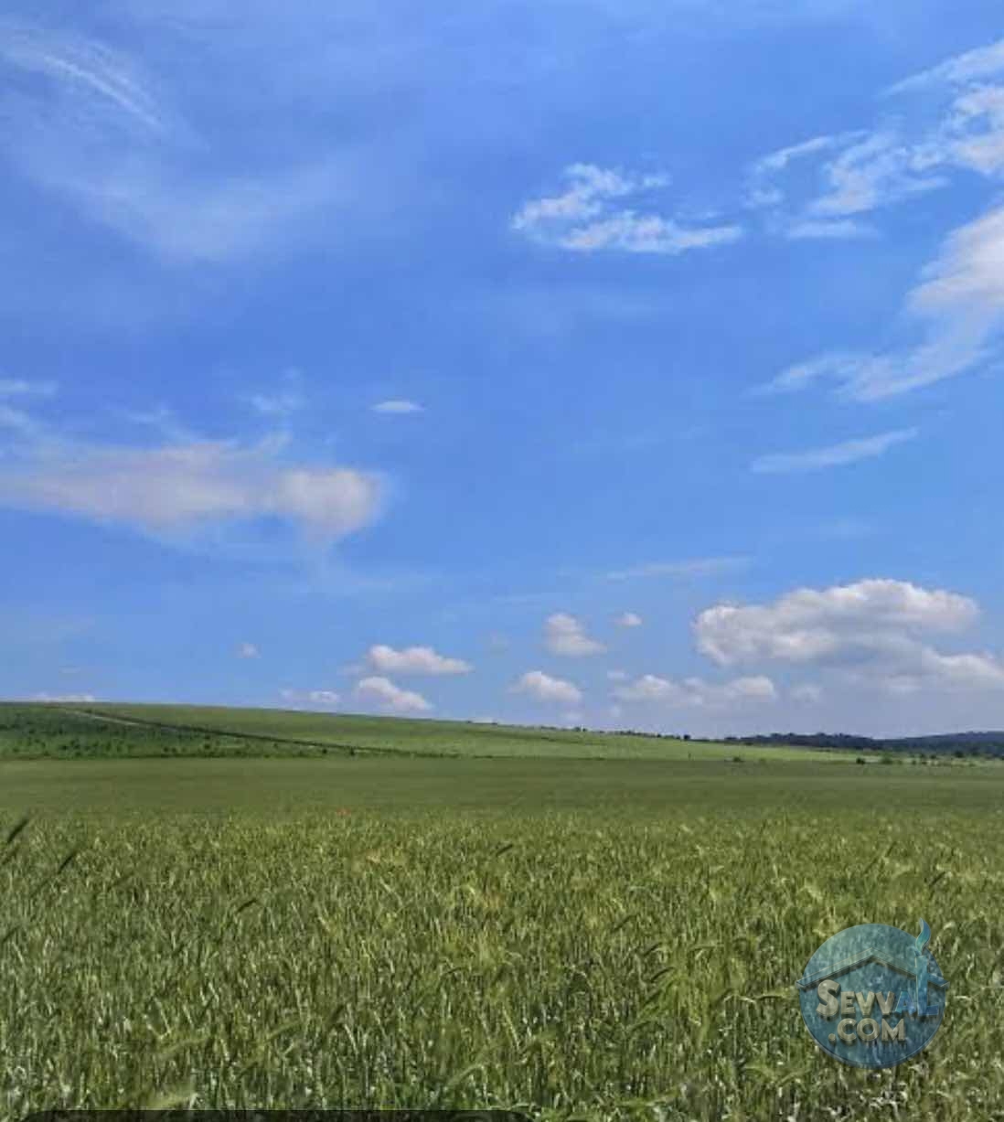 BALIKESİR BALYA DA KAÇIRILMIYACAK FIRSAT ARAZİSİ TOPLAM 64 DÖNÜM