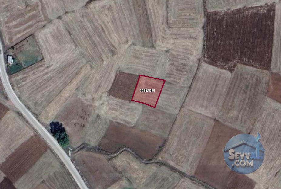 KÜTAHYA ÇAVDARHİSAR GÖKAĞAÇ  KÖYÜNDE  1.013 M²  TARLA SATILIKTIR