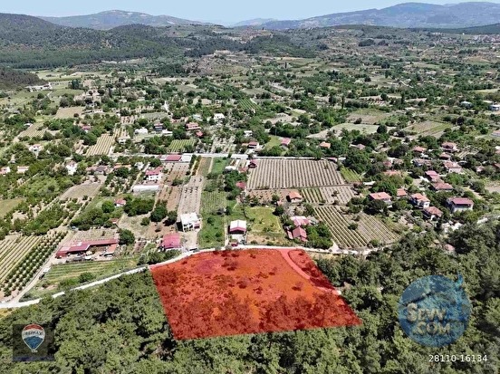 KUŞADASI KİRAZLI KÖYÜ’NDE SATILIK 6152 M2 TARLA