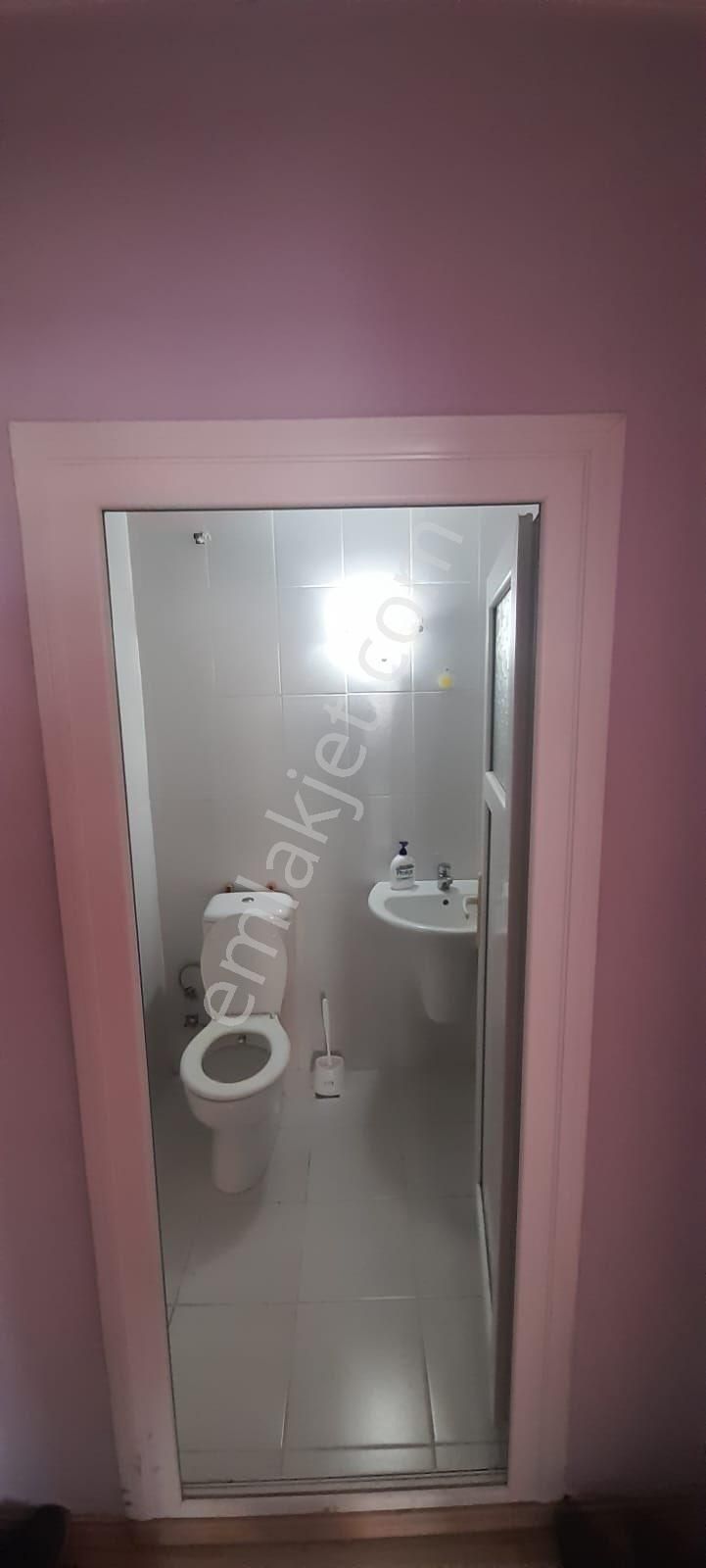 Fotoğraf