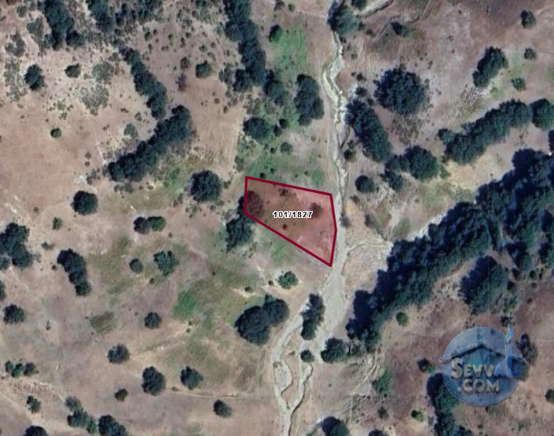 KÜTAHYA SİMAV HASANÖREN  KÖYÜNDE  1.323 M² TARLA  SATILIKTIR