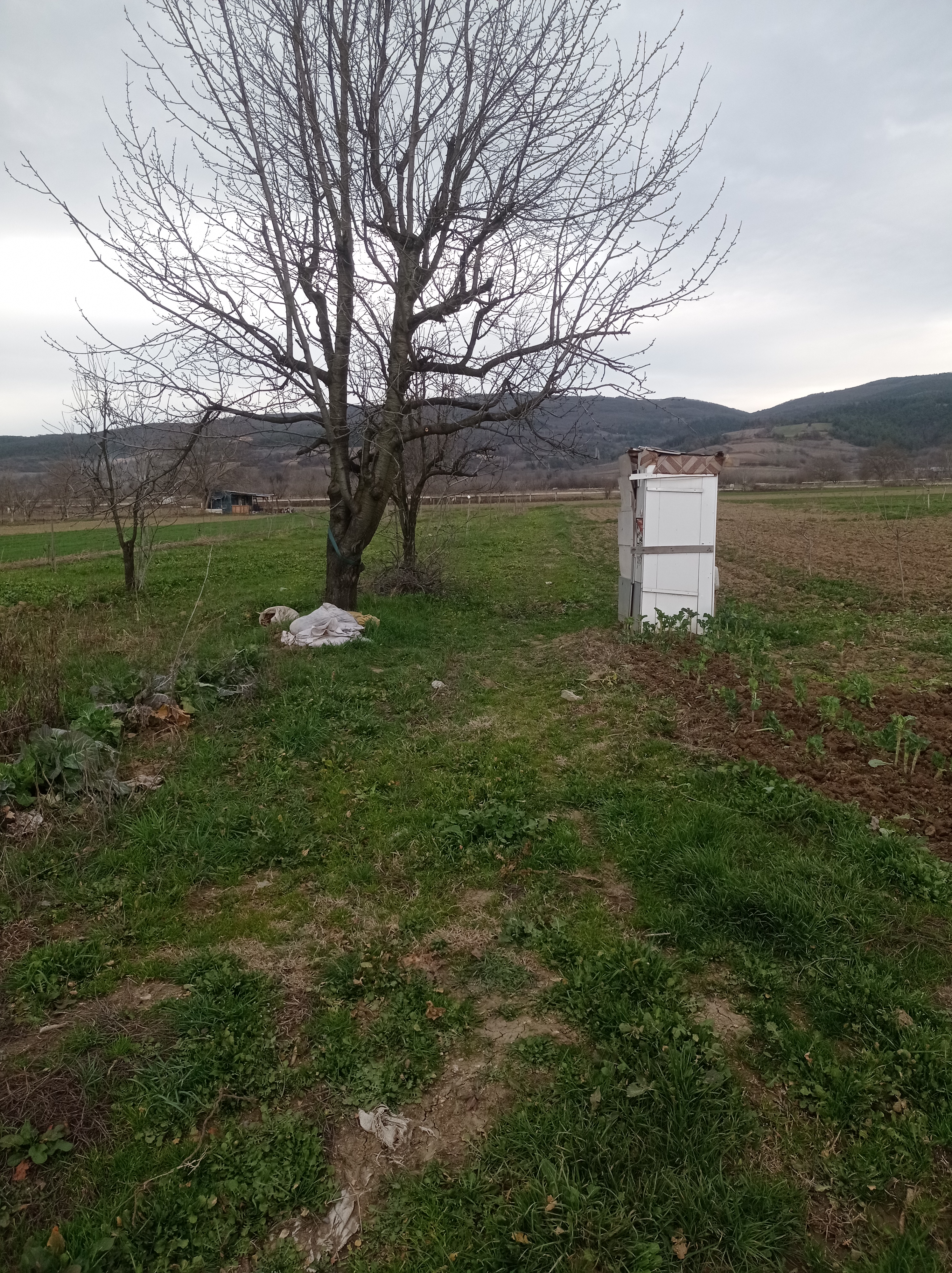 Sahibinden müstakil tapulu tarla. - BURSA İNEGÖL fotoğraf 4