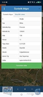 MİLAS PINARCIK 3.215.55 DÖNÜM ZEYTİNLİK SATILIK