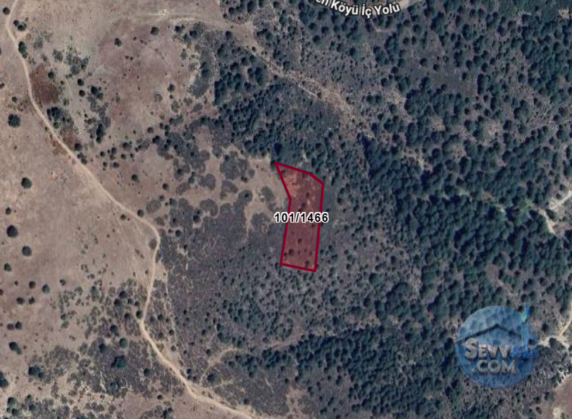 KÜTAHYA SİMAV HASANÖREN  KÖYÜNDE  3.634 M² TARLA  SATILIKTIR