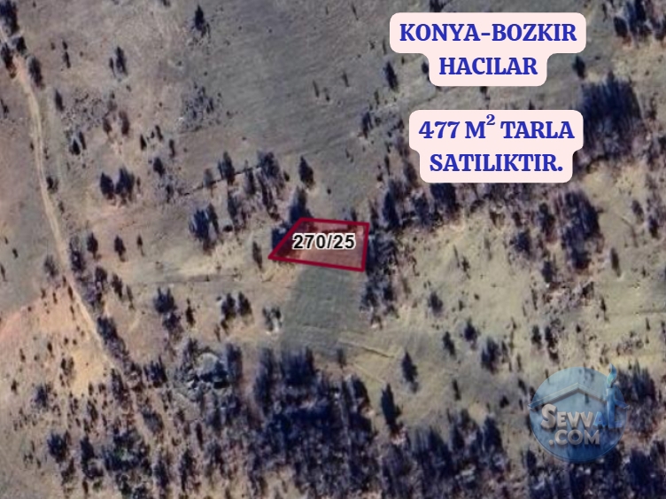 KONYA BOZKIR HACILAR KÖYÜNDE 477 M² TARLA SATILIKTIR