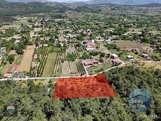 KUŞADASI KİRAZLI KÖYÜ’NDE SATILIK 5740 M2 TARLA