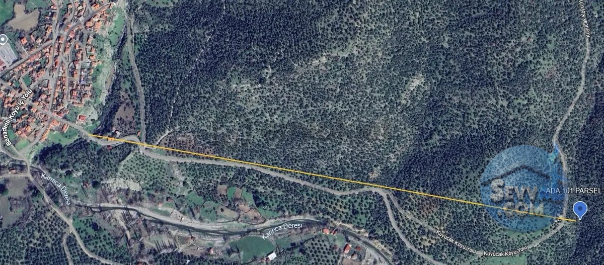 Burhaniye Kuyucakta Acil Satılık Zeytinlik