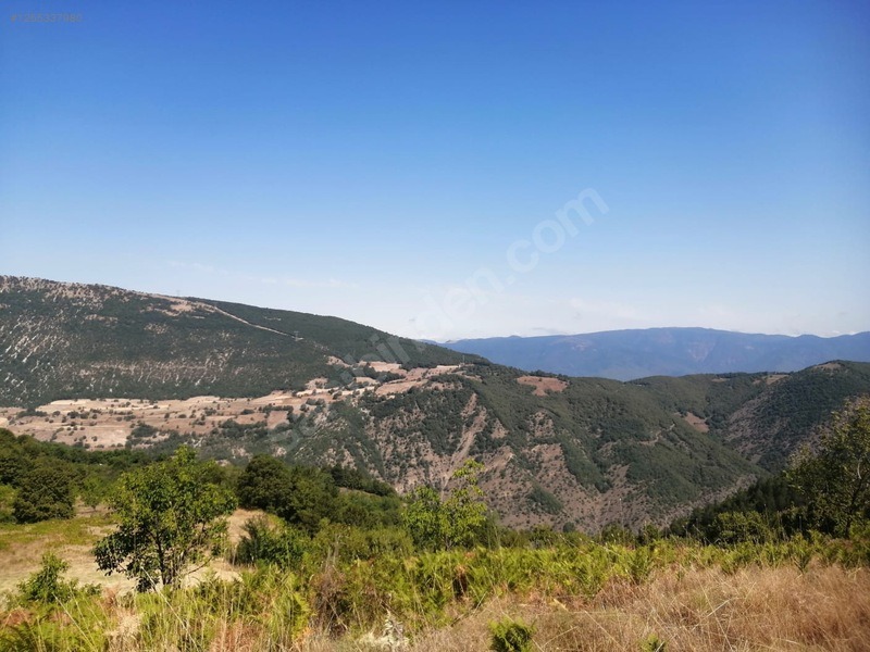 TAŞKESTİ EMLAKTAN ÇAĞŞAK KÖYÜNDE 10573 M2 YATIRIMLIK TARLA