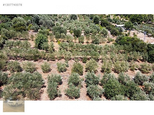 manzaralı 271 m2 tek tapu satılık tarla