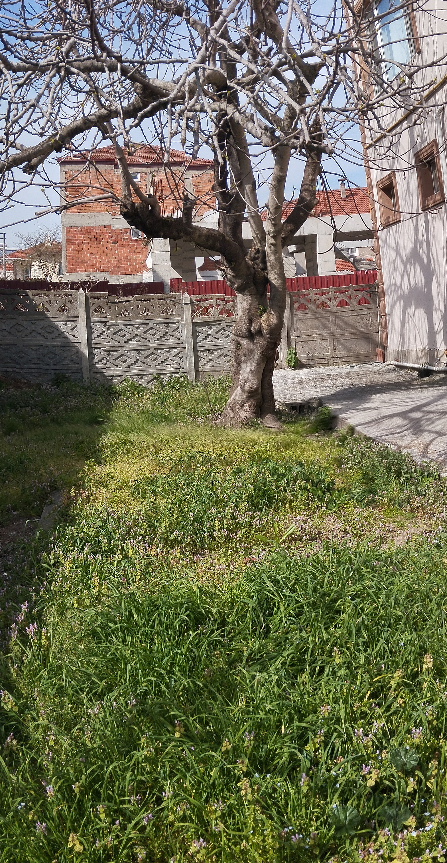***SAHİBİNDEN**DAİRE FİYATINA BAHÇELİ KELEPİR MÜLK*** - SAKARYA ADAPAZARI fotoğraf 8