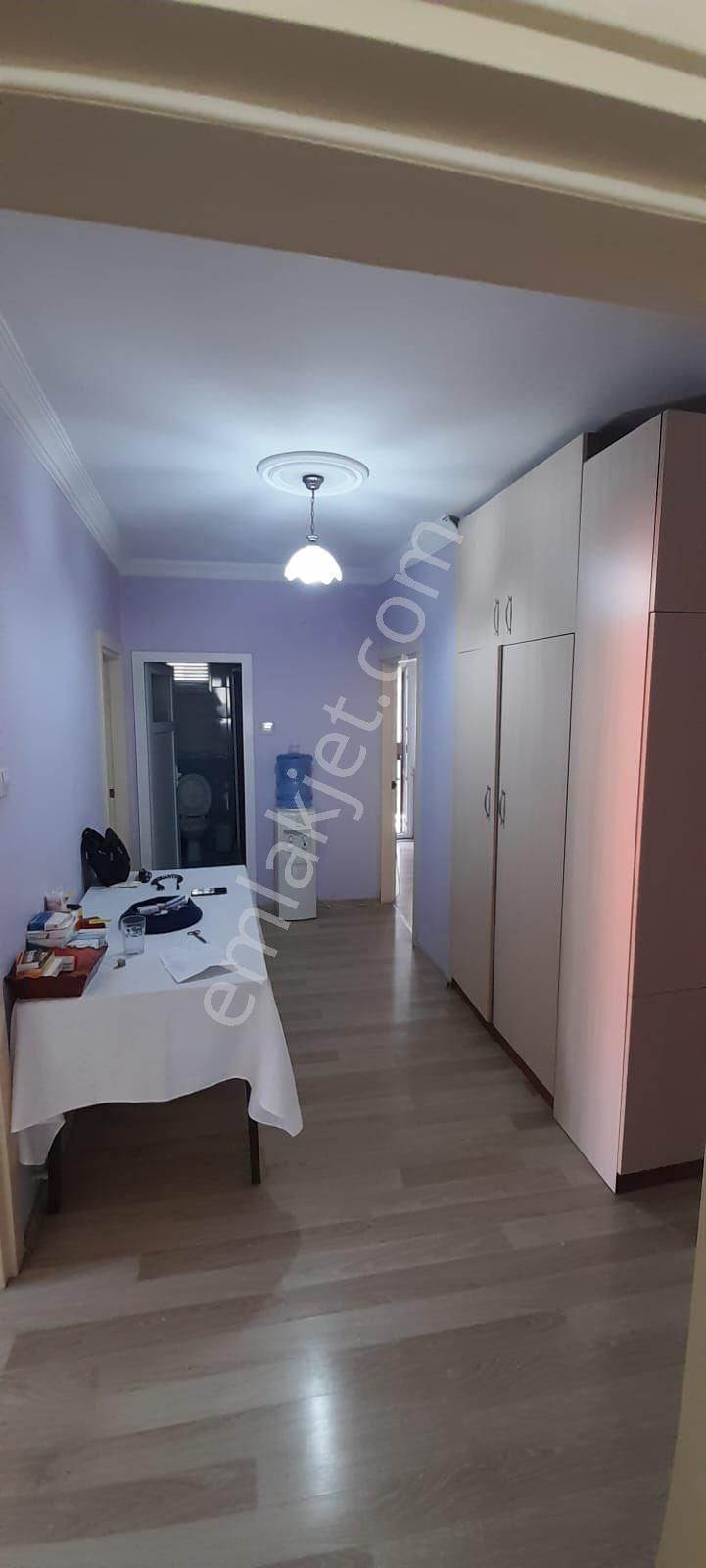 Fotoğraf