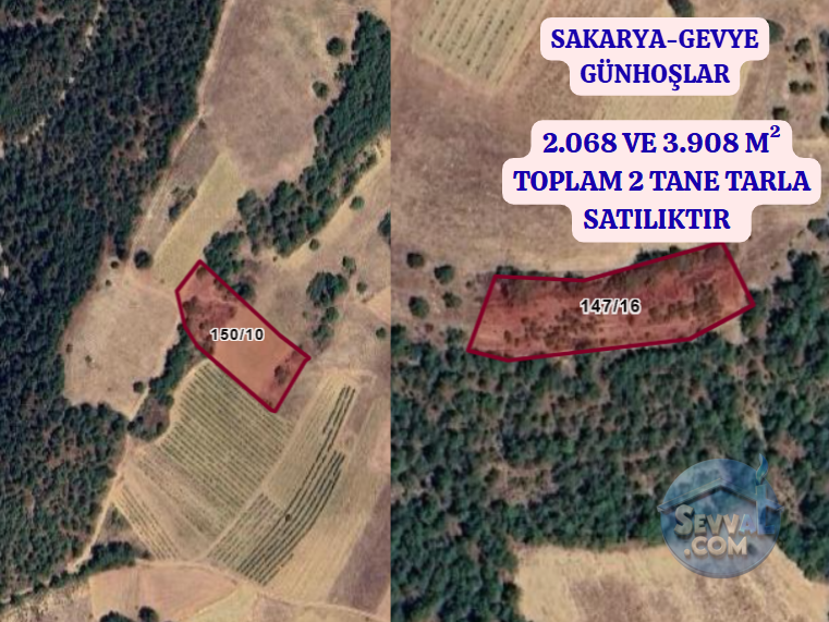 SAKARYA GEVYE GÜNHOŞLAR  KÖYÜNDE  3.908 VE 2.068 M² TARLA  SATILIKTIR