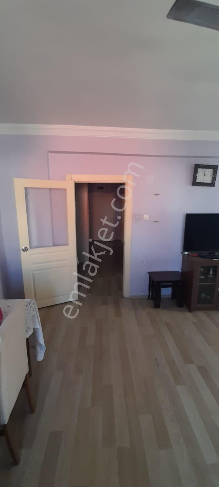 Fotoğraf