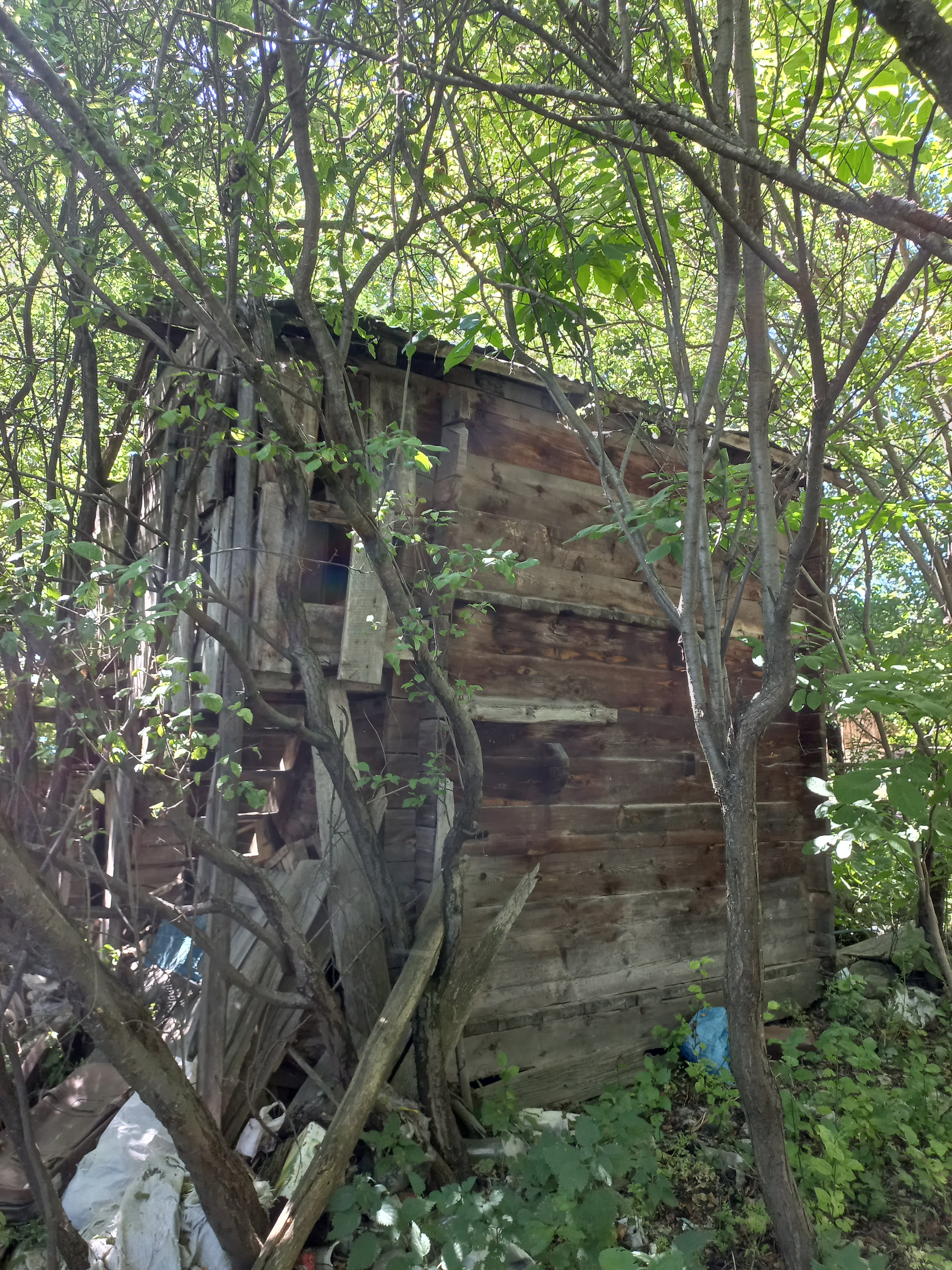BOLU GÖYNÜK ALAN KÖYÜN'DE KÖY EVİ SATILIKTIR - BOLU GÖYNÜK fotoğraf 10