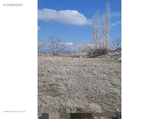 KEMER DE ŞEHİR MANZARALI 7500M2 İÇİNDE 50 KADAR YETİŞMİŞ CEVİZ