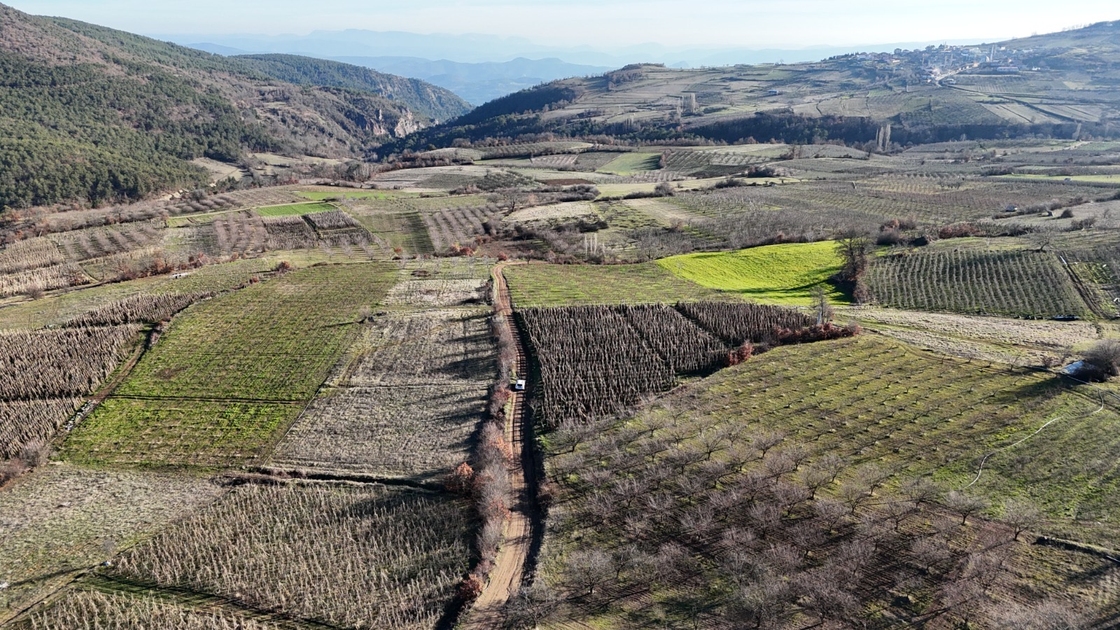 Resmi yola cepheli müstakil arsa - BİLECİK OSMANELİ fotoğraf 6