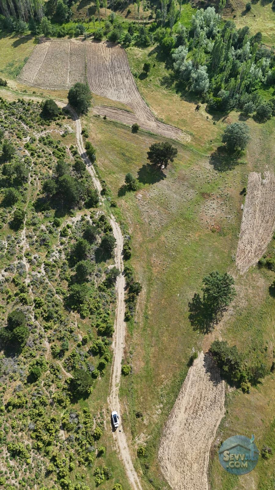KÜTAHYA ÇAVDARHİSAR YENİCEARMUTCUK  KÖYÜNDE  6.982 M²   TARLA  SATILIKTIR