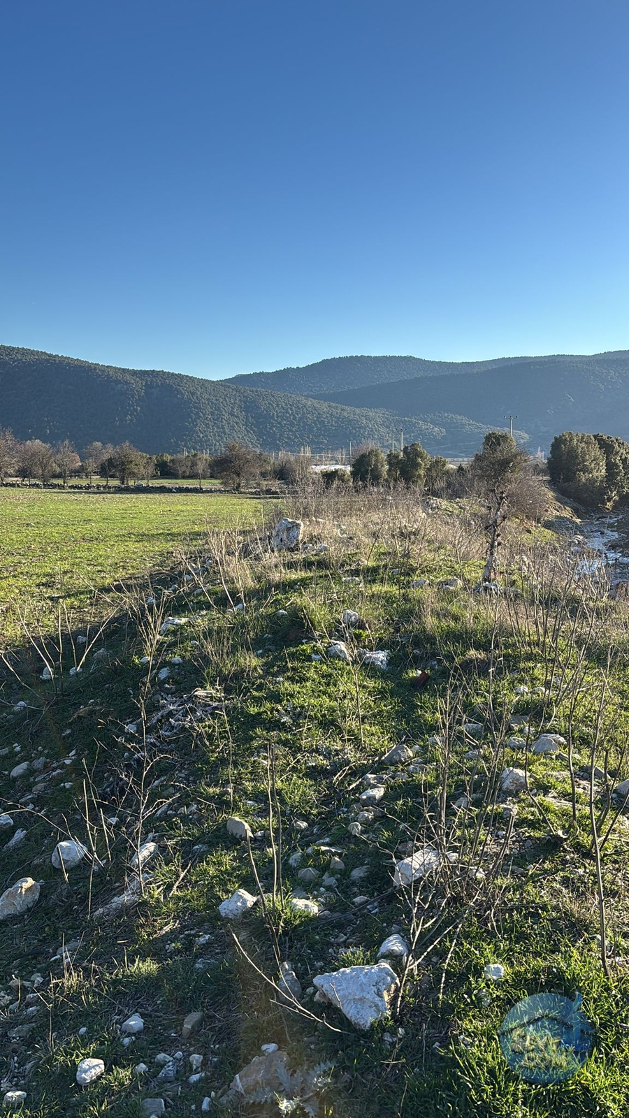 BURDUR-AĞLASUN YAZIR KÖYÜNDE YATRIMLIK FIRSAT TARLA