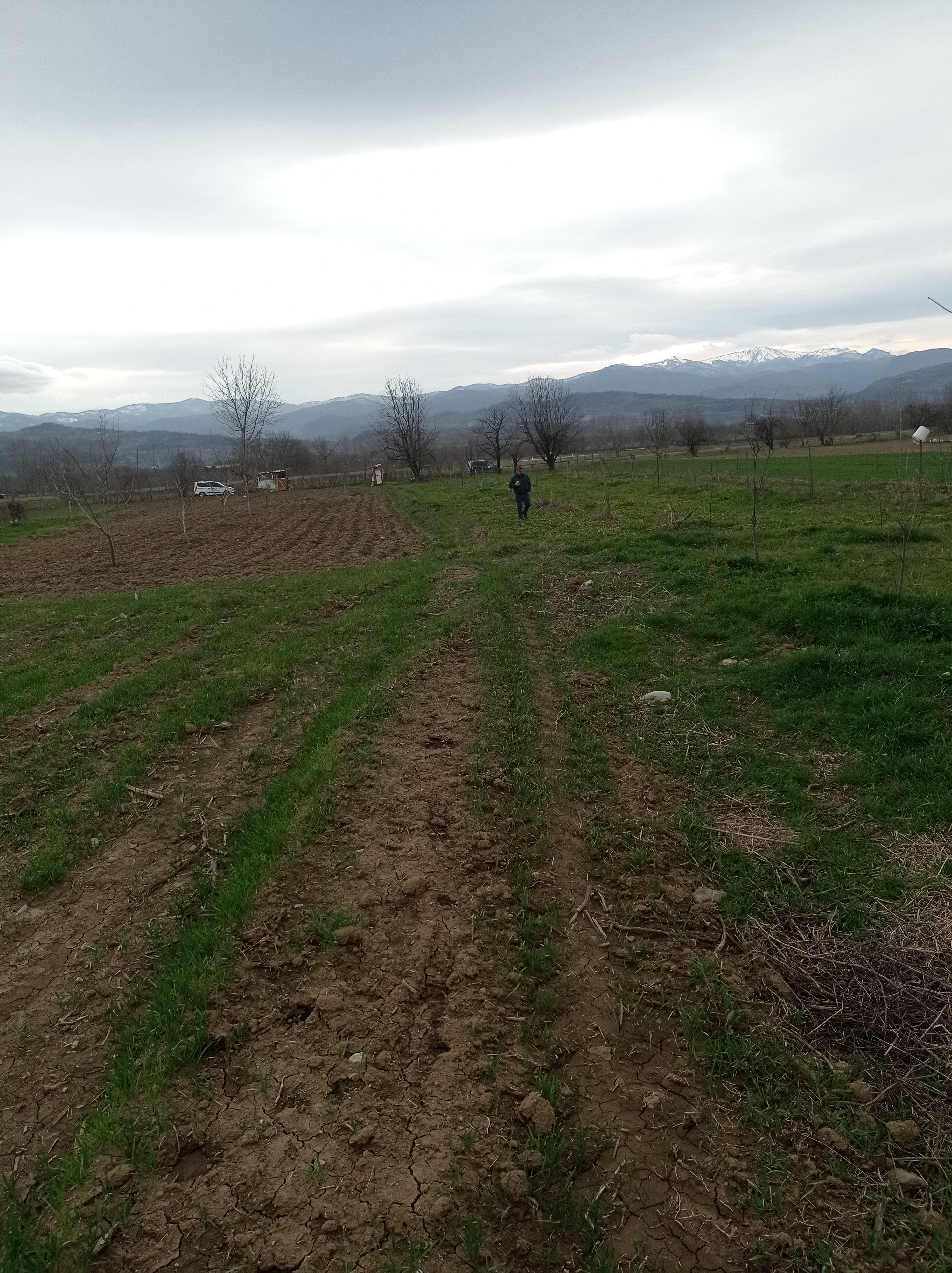 Sahibinden müstakil tapulu tarla. - BURSA İNEGÖL fotoğraf 6