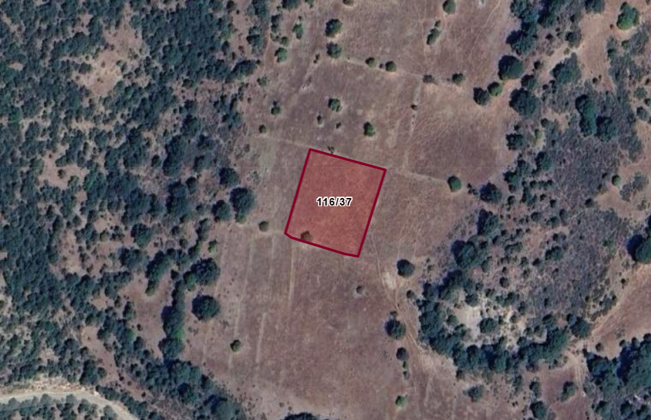 KÜTAHYA SİMAV YAVI   KÖYÜNDE 2.043 M² TARLA  SATILIKTIR