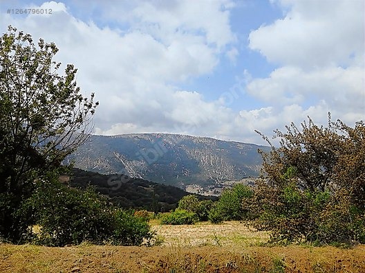 TAŞKESTİ EMLAKTAN BUNGALOVLUK 2 TARLA BİRLİKTE