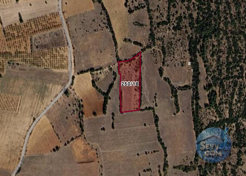 DENİZLİ BEKİLLİ YENİ  KÖYÜNDE  6.297 M²  TARLA SATILIKTIR