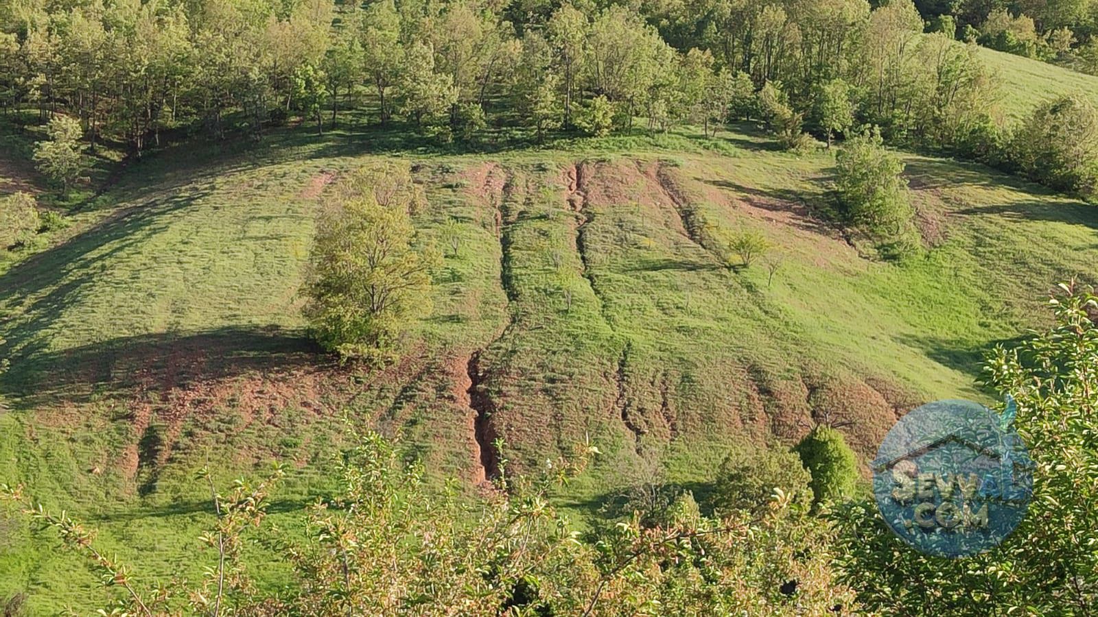 KÜTAHYA ŞAPHANE KARAAĞIL  KÖYÜNDE  7.501  M²  TARLA  SATILIKTIR - KÜTAHYA ŞAPHANE