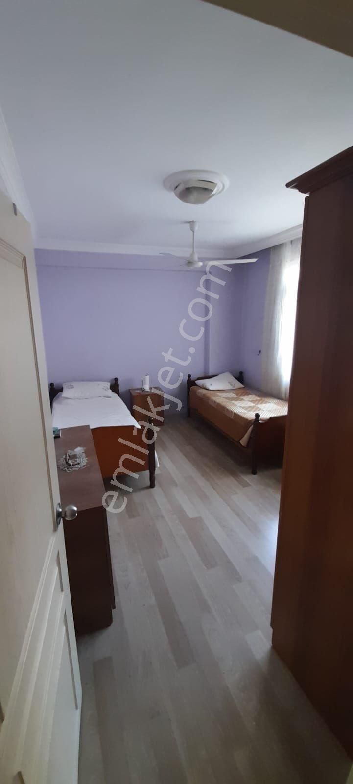 Fotoğraf