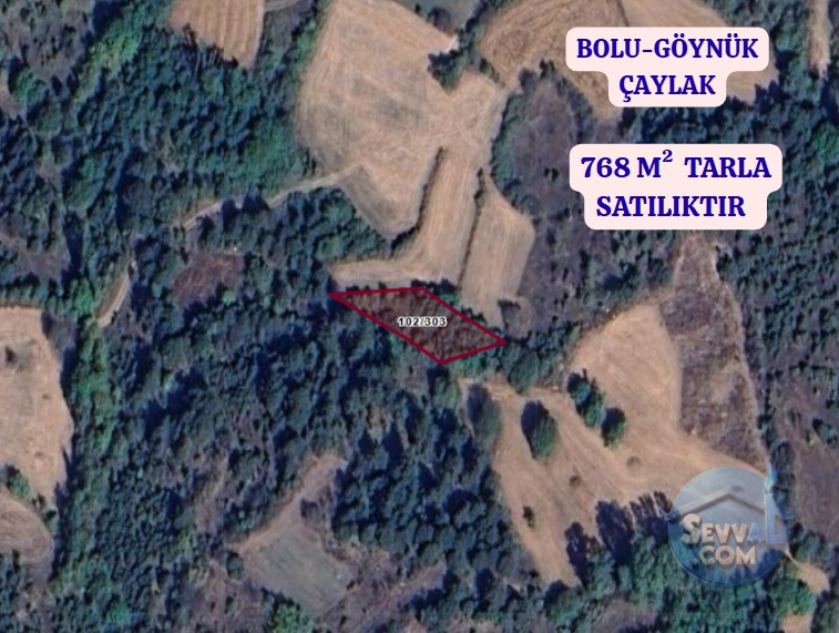 BOLU GÖYNÜK ÇAYLAK KÖYÜNDE 768 M² TARLA SATILIKTIR