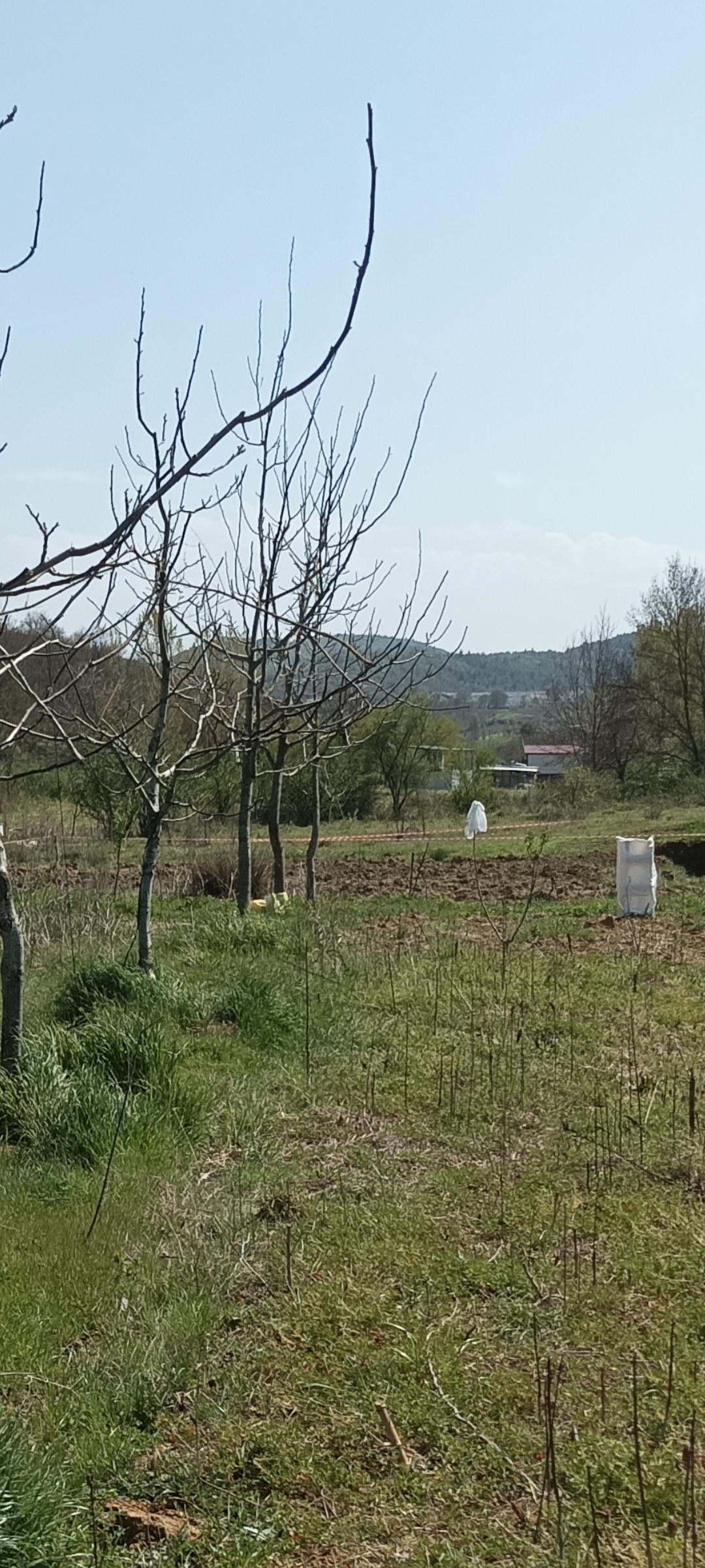 Ceviz ve hobi bahcesi - BURSA YENİŞEHİR fotoğraf 2
