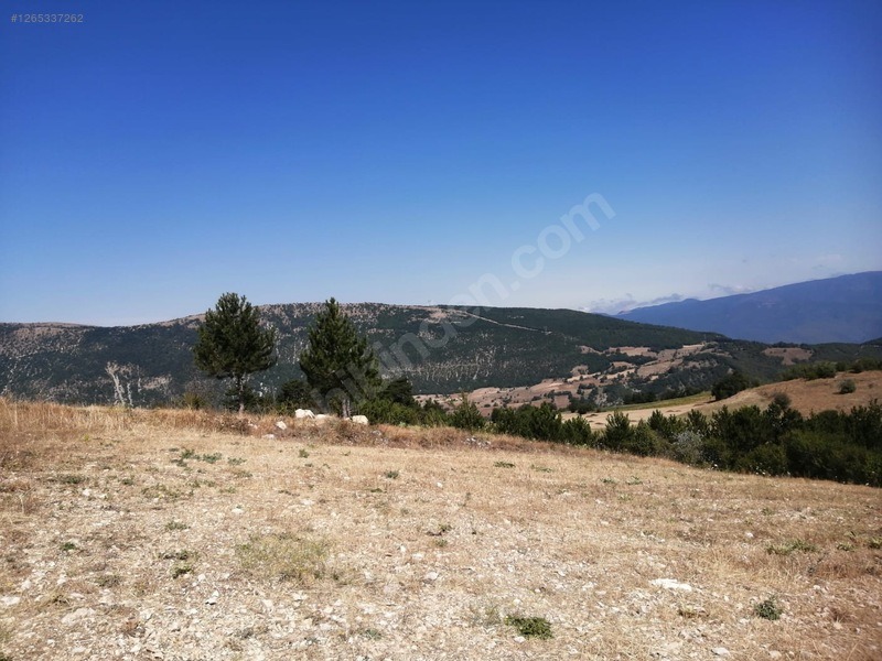TAŞKESTİ EMLAKTAN 4384 M2 TARLA