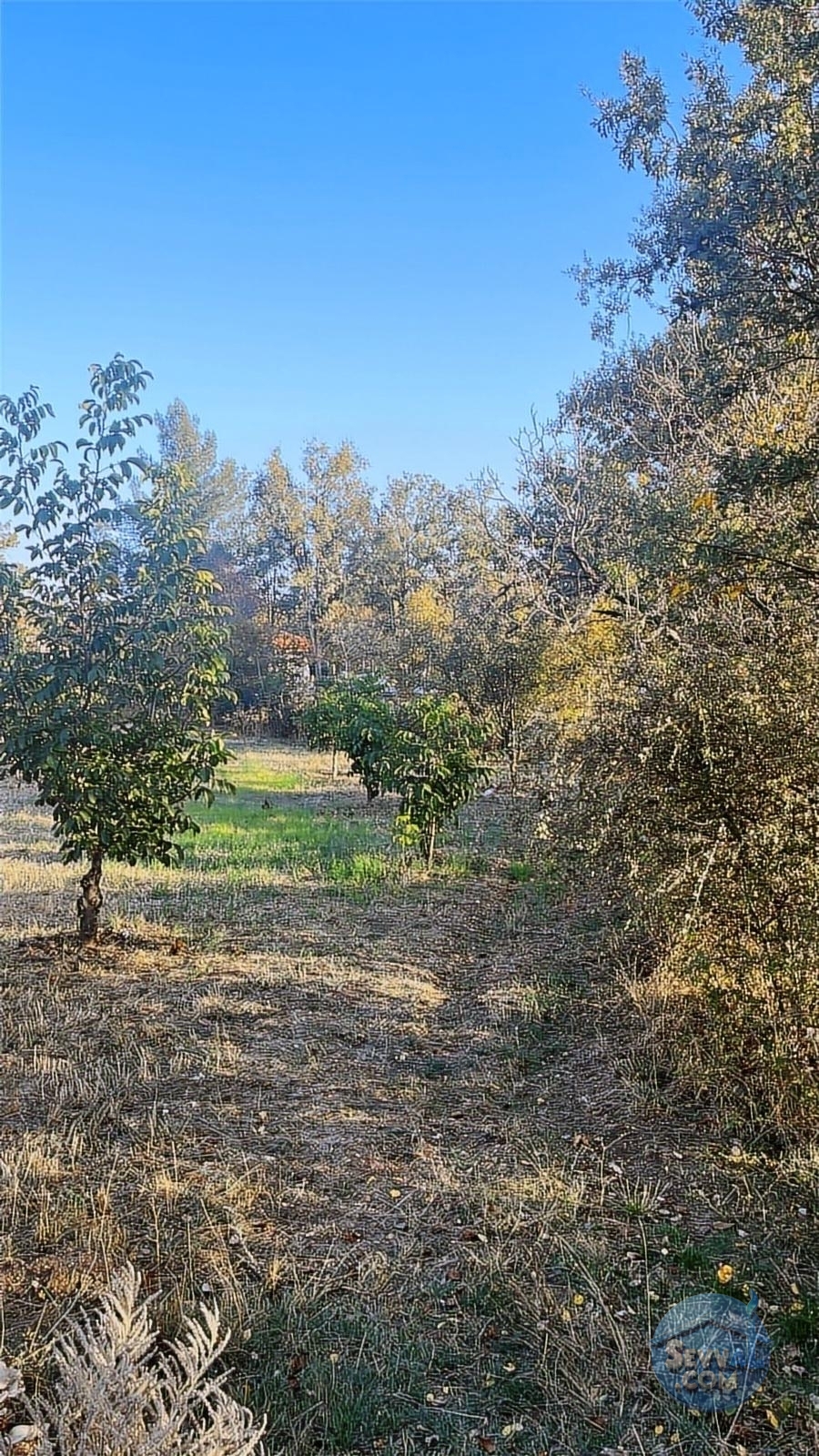 ASYA EVİM GAYRİMENKULDEN SAKARCA MAH.SATILIK ARAZİ