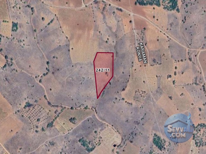 KARAMAN MERKEZ MURATDEDE KÖYÜNDE 5.746 M² ÜZÜM BAĞI SATILIKTIR