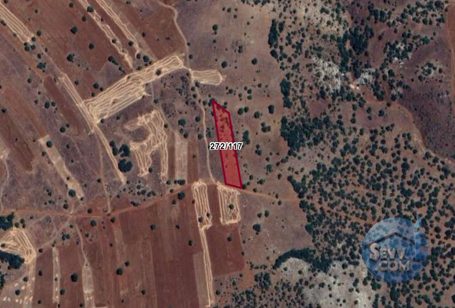 KONYA GÜNEYSINIR KIZILÖZ  KÖYÜNDE 2.896 M² TARLA  SATILIKTIR