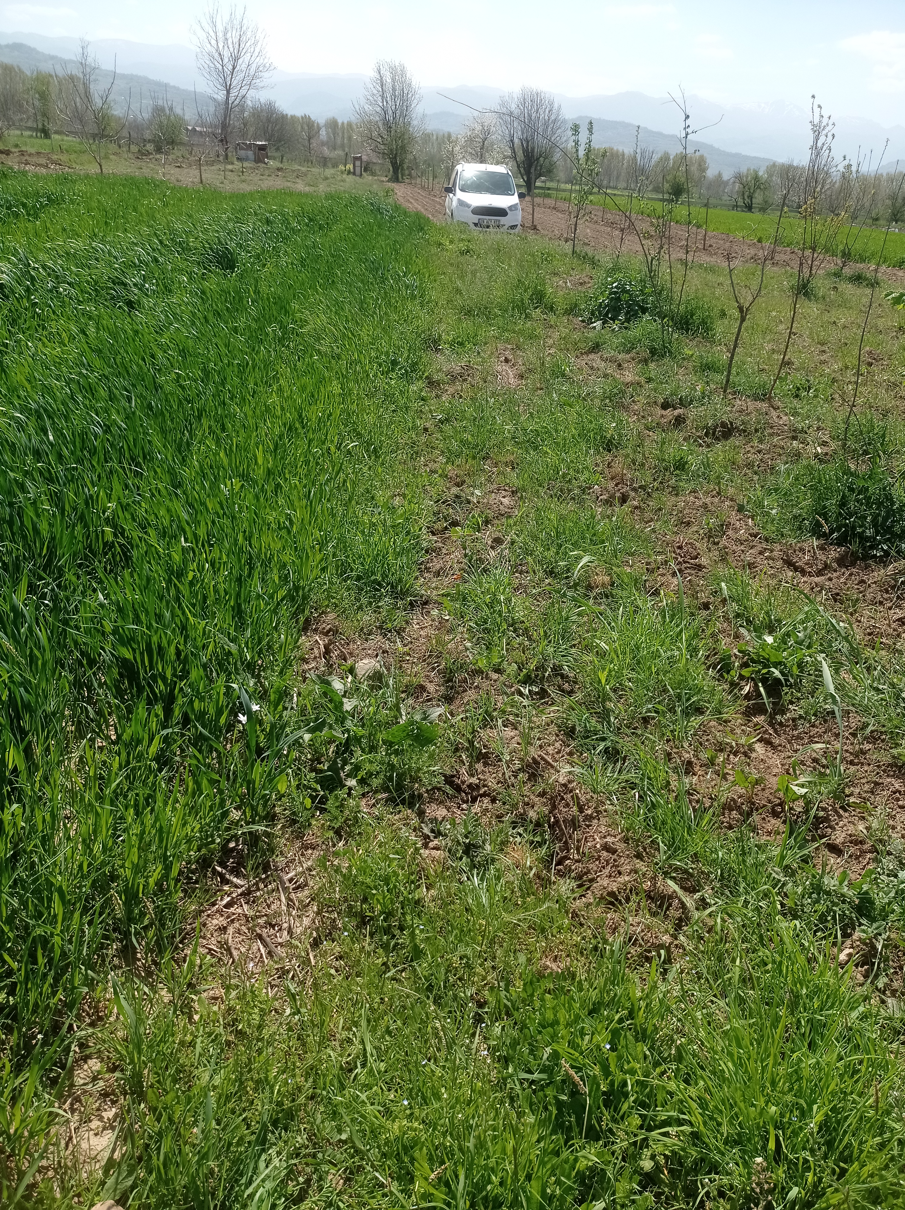 Sahibinden müstakil tapulu tarla. - BURSA İNEGÖL fotoğraf 2