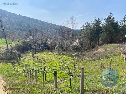 YENİ ŞEHİR OTOBANA 400 METRE HOBİ BAHÇESİ 1000M2