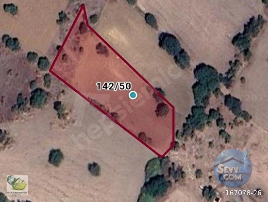 🚨 DURSUNBEY'DE 3.253 M² DOĞA MANZARALI HARİKA TARLA 🚨