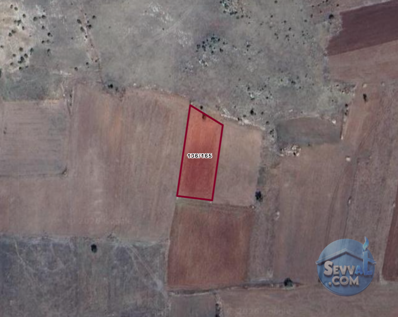 KÜTAHYA ÇAVDARHİSAR GÖKAĞAÇ  KÖYÜNDE  1.612 M²  TARLA SATILIKTIR